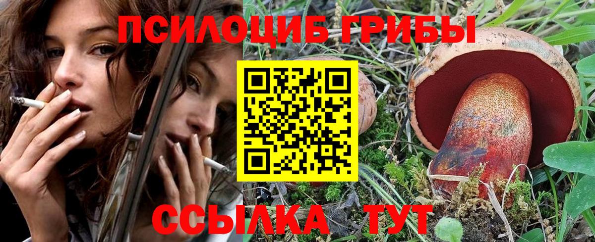 Мурманск  Галлюциногенные грибы ЛСД  Вход с VPN  дарнет шоп  Галлюциногенные грибы Magic Shrooms 