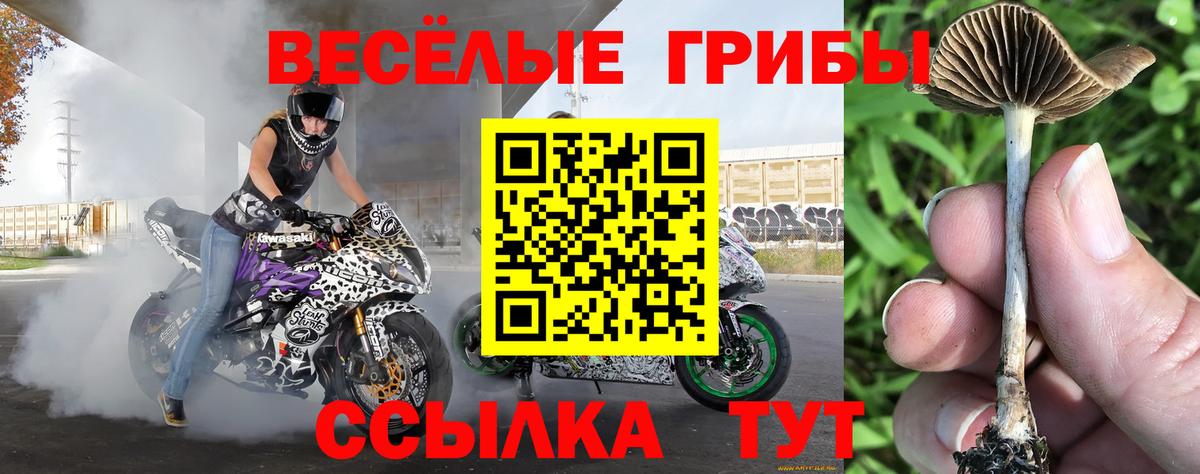 Галлюциногенные грибы ЛСД Мурманск